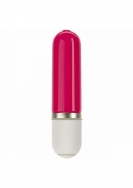 Mini Vibrator - 2.5
