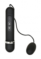 Zane - Waterproof Bullet and Controller