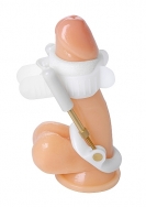 Deluxe Penile Aide