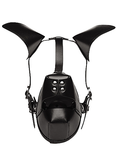 Pup Puppy Play Hood and Gag