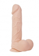 Adam'S Colossal