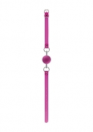 Pink Translucent Mouth Gag with Metal Tube