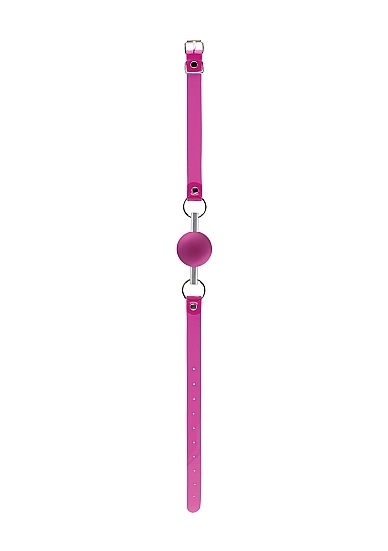 Pink Translucent Mouth Gag with Metal Tube