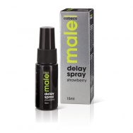 Male - Delay Spray Strawberry 15 ml