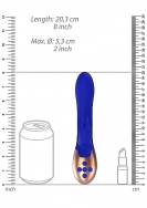 Click to enlarge