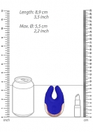 Click to enlarge