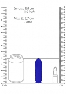 Click to enlarge
