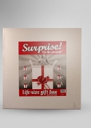 Suprise I m the present