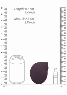Click to enlarge