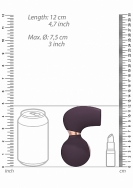 Click to enlarge