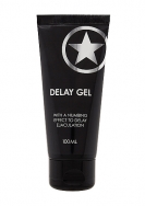 Delay Gel - 100ml
