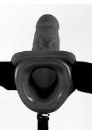 Click to enlarge