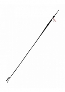 Bull Whip