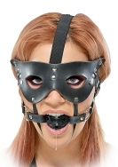 Masquerade Mask and Ball Gag