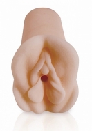 Click to enlarge