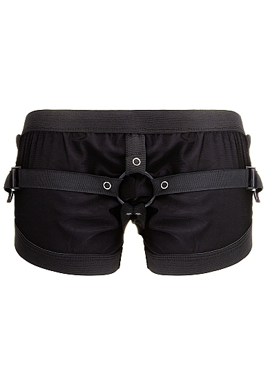 Boxer With Harness
