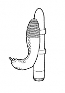 Click to enlarge