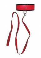 Red Leash & Collar