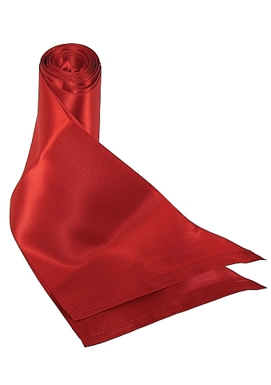 Silk Ribbon Restraint - Red