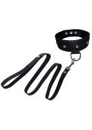 Leather Leash and Collar