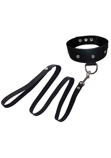 Leather Leash and Collar