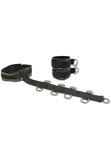 Neck and Wrist Restraint