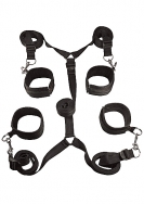 Under the Bed Restraint Gear