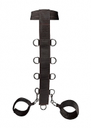 Neck and Wrist Restraint