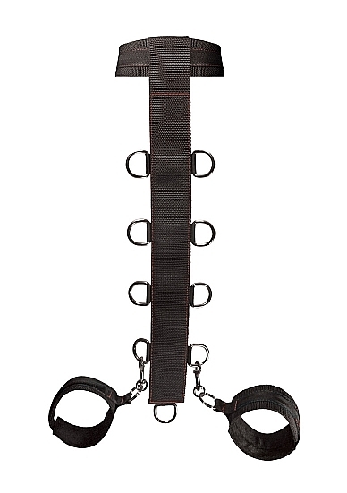 Neck and Wrist Restraint
