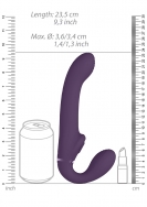 Click to enlarge