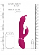 Click to enlarge